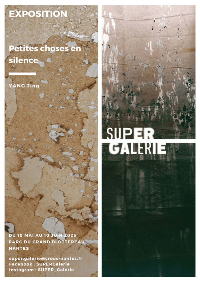 Petites choses en silence Jing YANG min