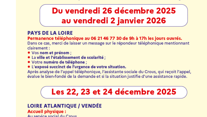 Veille social Noel 2025