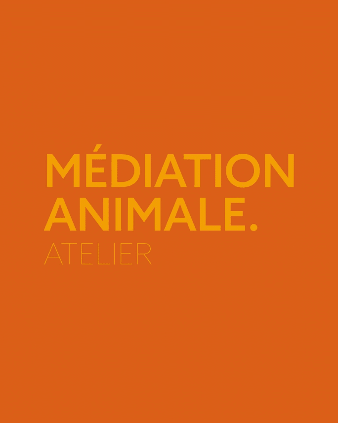Mediation animale