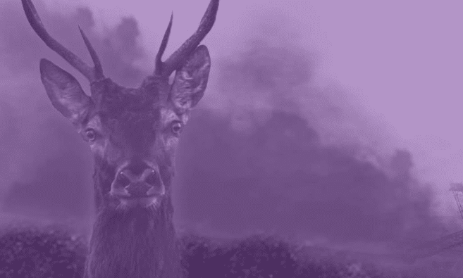 Projection documentaire