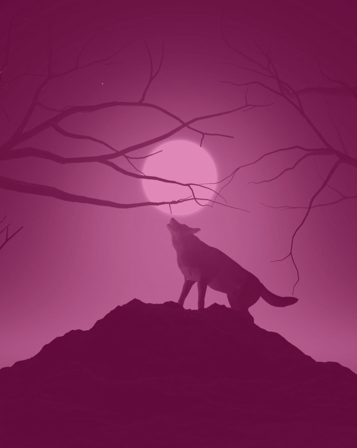 Loups-Garous en version XXL 1 Soiree loups garous